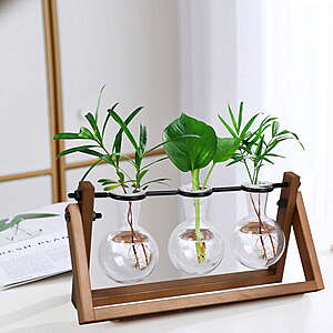 Better Homes & Gardens 3-Vase Glass Propagation Station w/ Wood Stand $14.88 + Free Shipping w/ Walmart+ or on $35