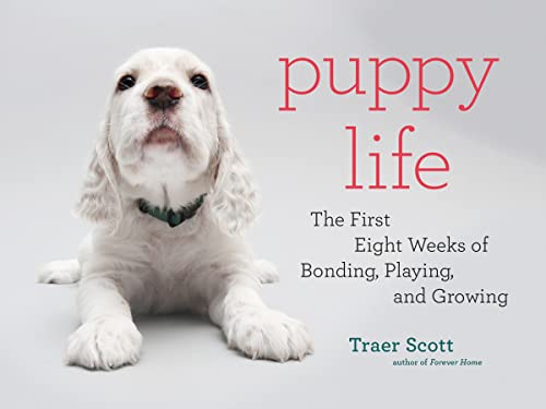 Puppy Life:The First Eight We...Bonding,Playing,and Growing
