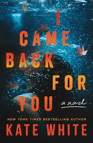 I Came Back for You:A Novel