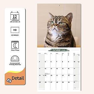 Cat Memes Hangable 2026 Monthly Wall Calendar with Large Blocks for Organizing & Planning,12x24 $4 FS Prime