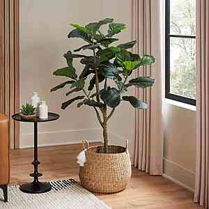 4' Stylewell Faux Fiddle Leaf Fig Tree in White Pot $39.90 + Free Shipping