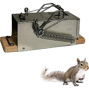 Squirrel Traps Outdoor - Squirrel Trap - Ouell Traps - Trap For Squirrels (Big) $38