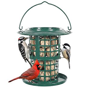 Suet Ball & Peanut Bird Feeder,Squirrel Proof Heavy-Duty Metal Suet Feeder $9.99