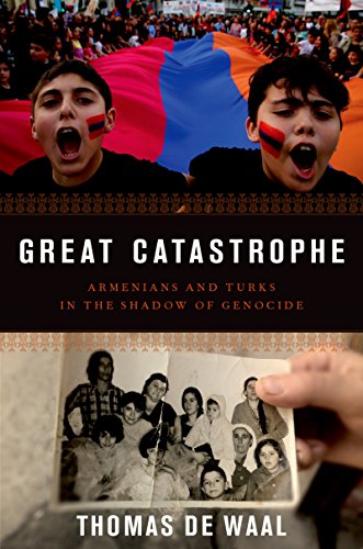 Great Catastrophe:Armenians a...urks in the Shadow of Genocide