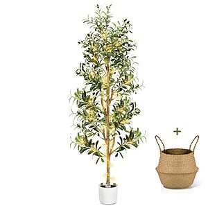 6' Artificial Olive Tree w/ LED String Lights,White Planter & Basket $53.89 & More + Free Shipping