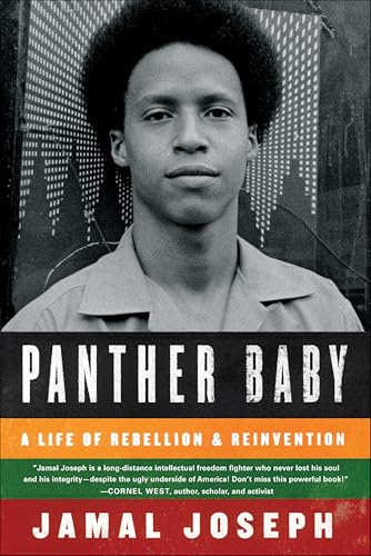 Panther Baby:A Life of Rebellion & Reinvention