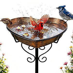 Goodeco Metal Heart Bird Bath,2.17 Deep - $14.99 After coupon