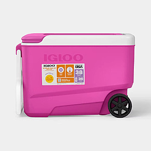 53-Can / 38-Qt Igloo Sun Squad Wheelie Rolling Cooler (Pink Fizz) $24.99 + Free Shipping