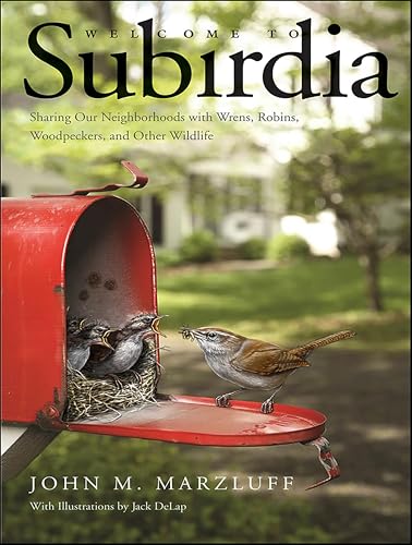 Welcome to Subirdia:Sharing O...oodpeckers,and Other Wildlife