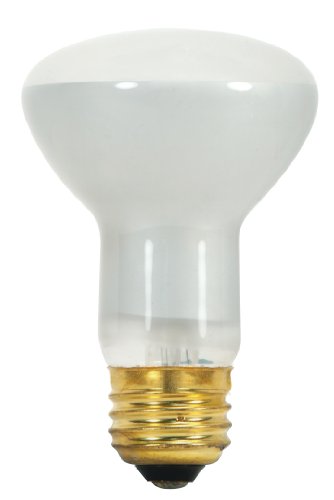 Satco S8519 130-Volt 45-Watt R...edium Base Light Bulb,Frosted