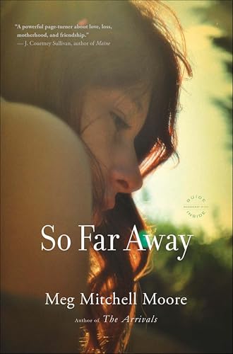So Far Away:A Novel