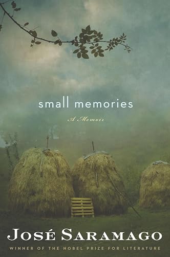 Small Memories:A Memoir