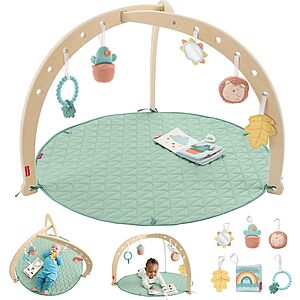 Fisher-Price Baby Tummy Time & Play Deluxe Activity Gym w/ Wooden Frame & 6 Sensory Toys $24.45 + Free Shipping w/ Prime or on $35