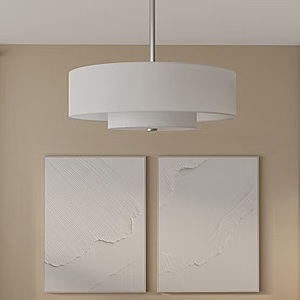 Costco:Hunter Brookside 30" Indoor Ceiling Fandelier (Fan & Light Combo),Brushed Nickel,Free Shipping,Thru 10/25 $209.99
