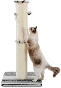 Cat Scratching Post Just $14.99 on Amazon (Reg.$40