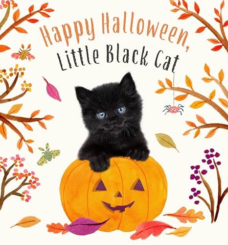 Happy Halloween,Little Black...Board Book (Baby Animal Tales