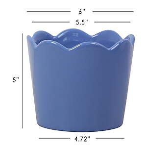 6.44 FS Walmart+/Pick Up Mainstays Small 6in Diameter Round Scallop Ceramic Planter in Blue or White