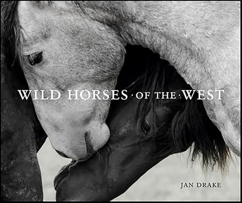 Wild Horses of the West